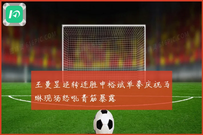 王曼昱逆转连胜申裕斌单拳庆祝马琳现场怒吼青筋暴露