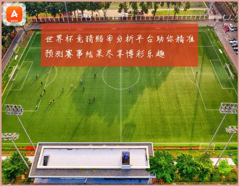 世界杯竞猜赔率分析平台助你精准预测赛事结果尽享博彩乐趣