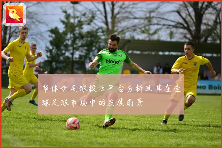 华体会足球投注平台分析及其在全球足球市场中的发展前景