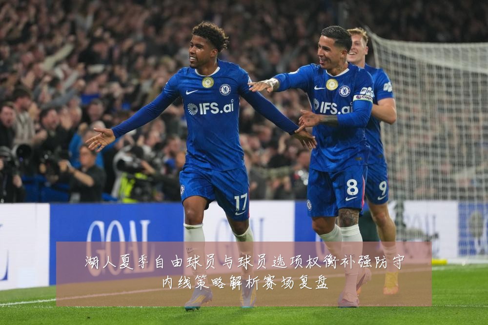 湖人夏季自由球员与球员选项权衡补强防守内线策略解析赛场复盘