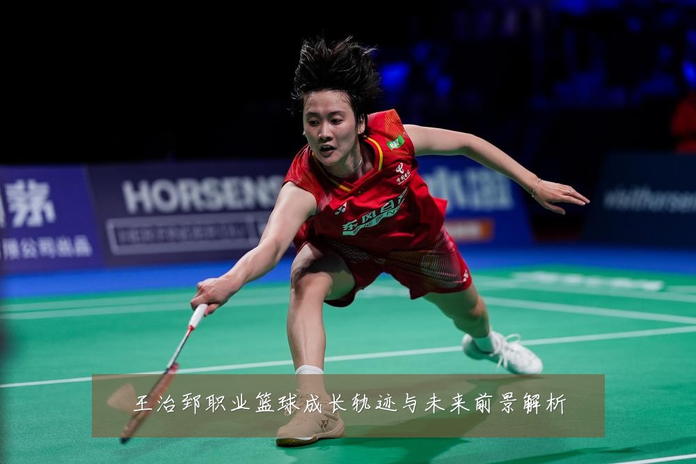 王治郅职业篮球成长轨迹与未来前景解析